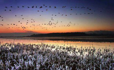 1479978964125181.png 11.png